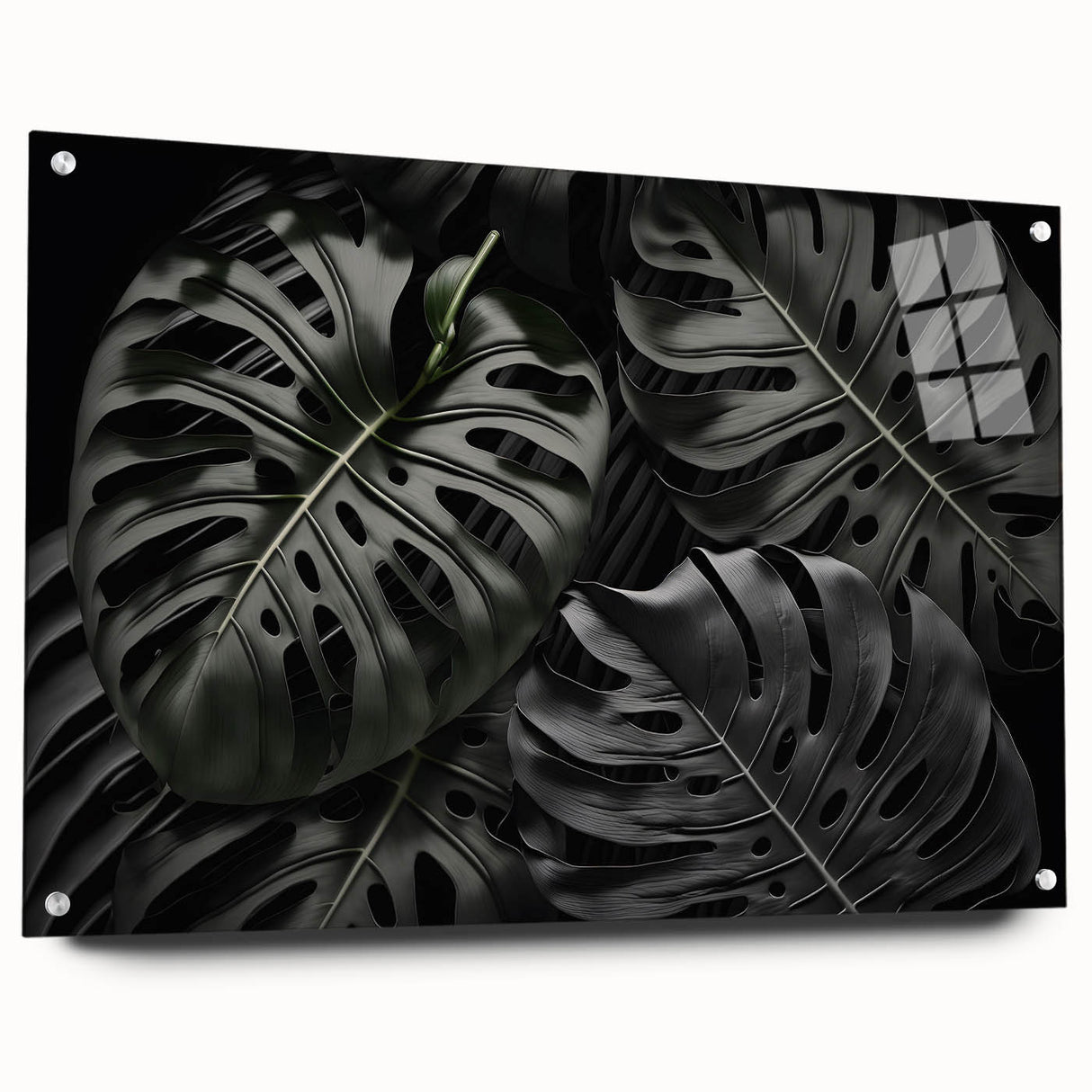 Botanical wall art collection featuring a side view of a Monstera design printed on acrylic glass, showcasing vibrant green leaves and elegant mounting pins for display.