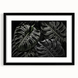 Framed botanical wall art featuring a Monstera plant design set against a black background, highlighting vibrant green leaves in a modern aesthetic. Perfect for home decor.