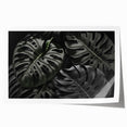 Botanical wall art print featuring a detailed Monstera leaf design in vibrant green and natural tones, rolled and ready for framing, ideal for home decor enthusiasts.