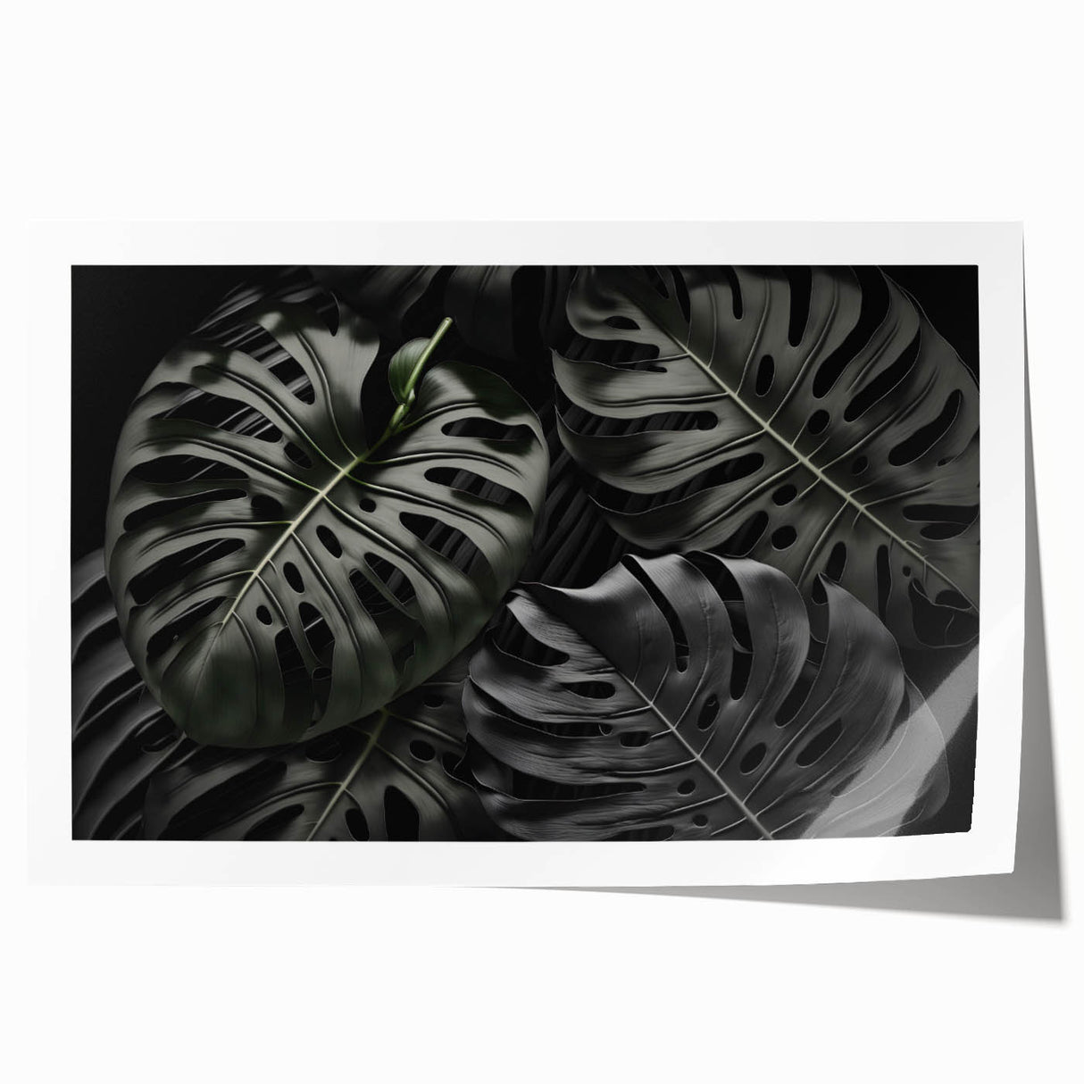 Botanical wall art print featuring a detailed Monstera leaf design in vibrant green and natural tones, rolled and ready for framing, ideal for home decor enthusiasts.