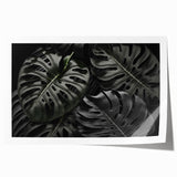 Botanical wall art print featuring a detailed Monstera leaf design in vibrant green and natural tones, rolled and ready for framing, ideal for home decor enthusiasts.