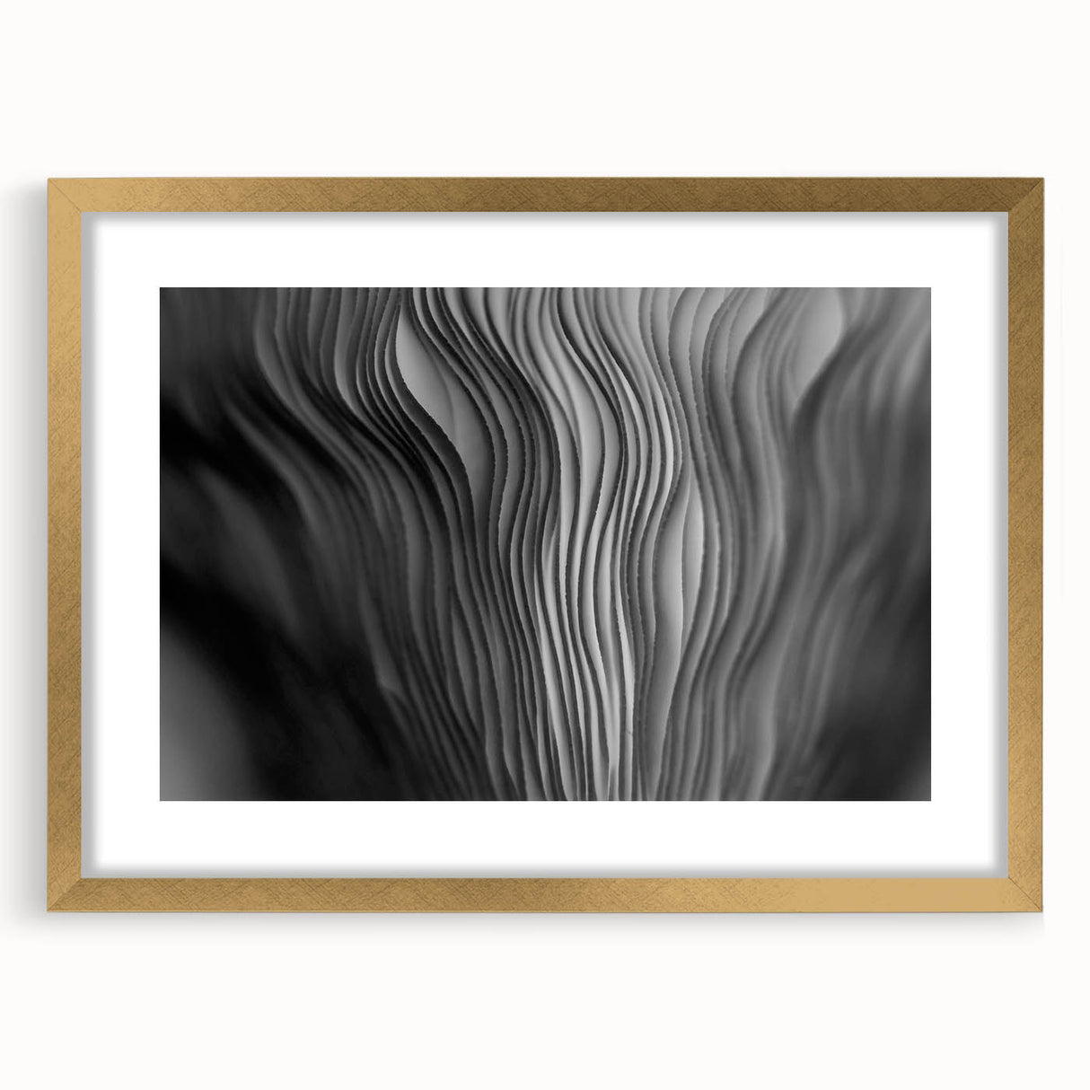 Botanical wall art featuring a beautifully framed design of colorful mushrooms and flowers, highlighted with a gold frame and mat, perfect for home decor.