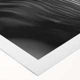 Botanical wall art design featuring vibrant flowers and mushrooms on rolled canvas, ideal for home decor, showcasing intricate details and vivid colors.