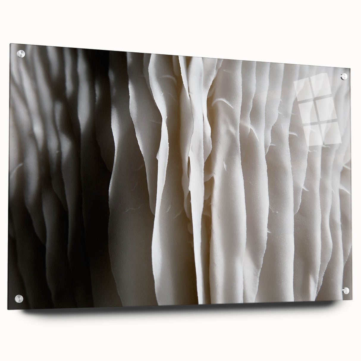 Acrylic glass wall art displaying a botanical mushrooms design, featuring vibrant colors and intricate details, showcased from the side with mounting pins visible.