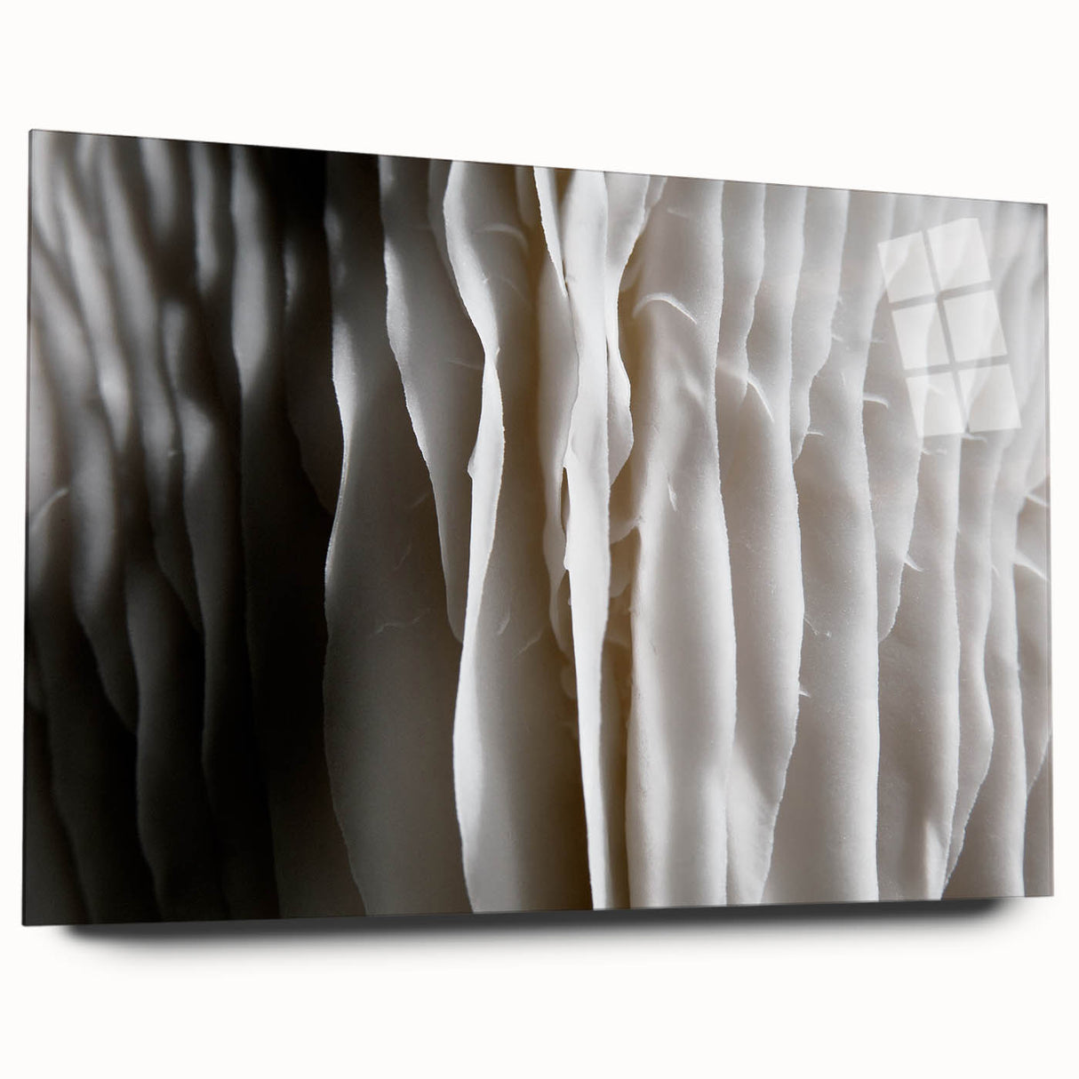 Acrylic glass wall art showcasing a vibrant botanical design featuring colorful mushrooms and flowers, presented in a side view without pins. Ideal for nature enthusiasts.
