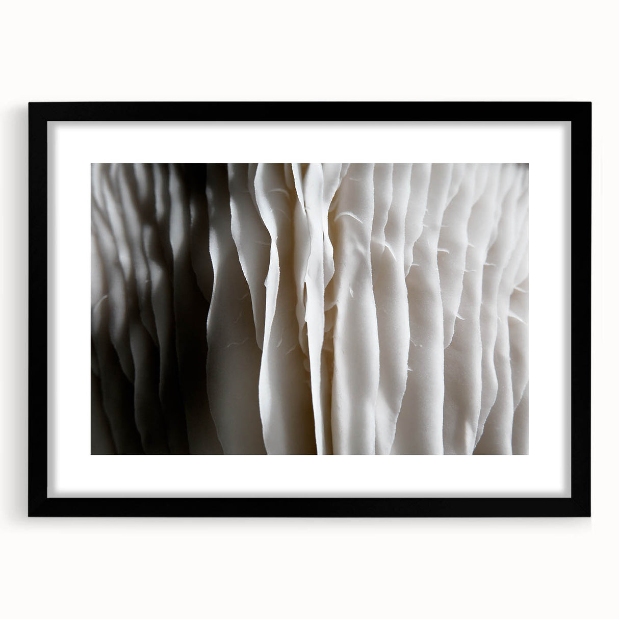 Black-framed wall art featuring a botanical design of colorful flowers and mushrooms, showcasing intricate details and vibrant colors, perfect for home decor.