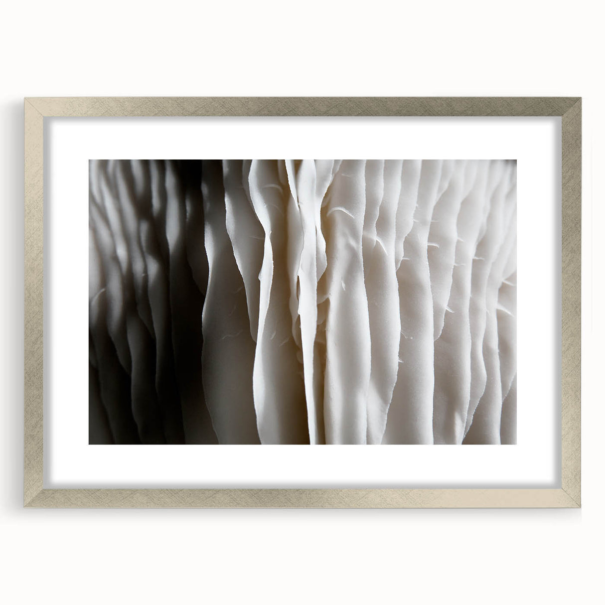 Elegant wall art featuring a botanical mushroom design with vibrant colors in a silver frame, perfect for enhancing home decor with a natural touch.