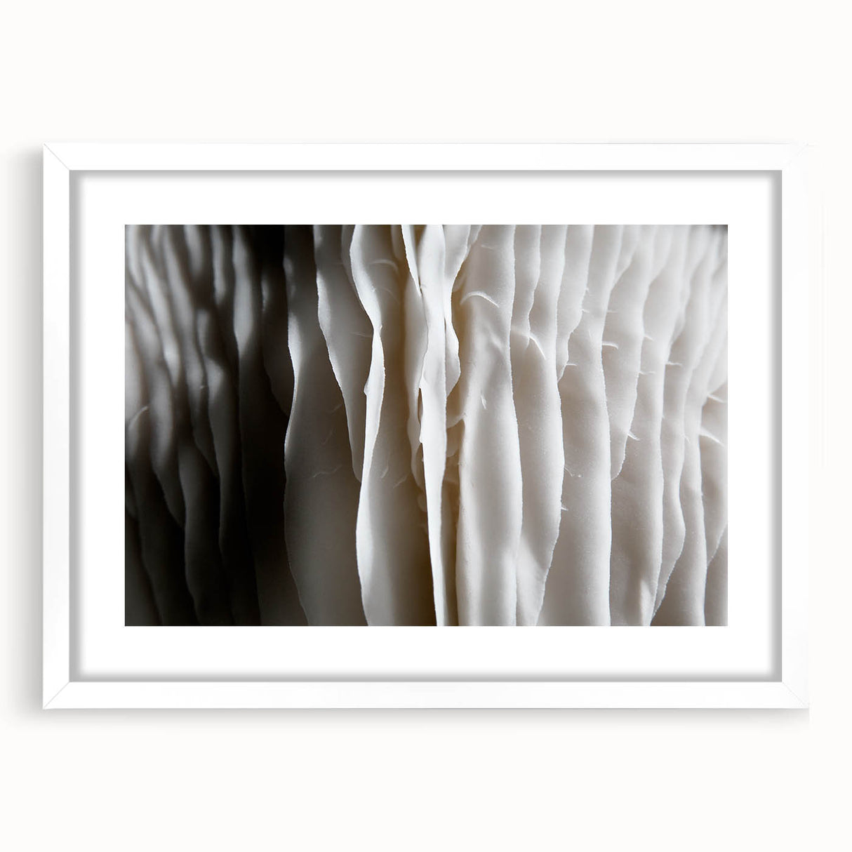 Botanical wall art featuring a vibrant design of flowers and mushrooms in a white frame with a mat, perfect for enhancing home decor and adding a natural touch.