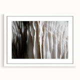 Botanical wall art featuring a vibrant design of flowers and mushrooms in a white frame with a mat, perfect for enhancing home decor and adding a natural touch.
