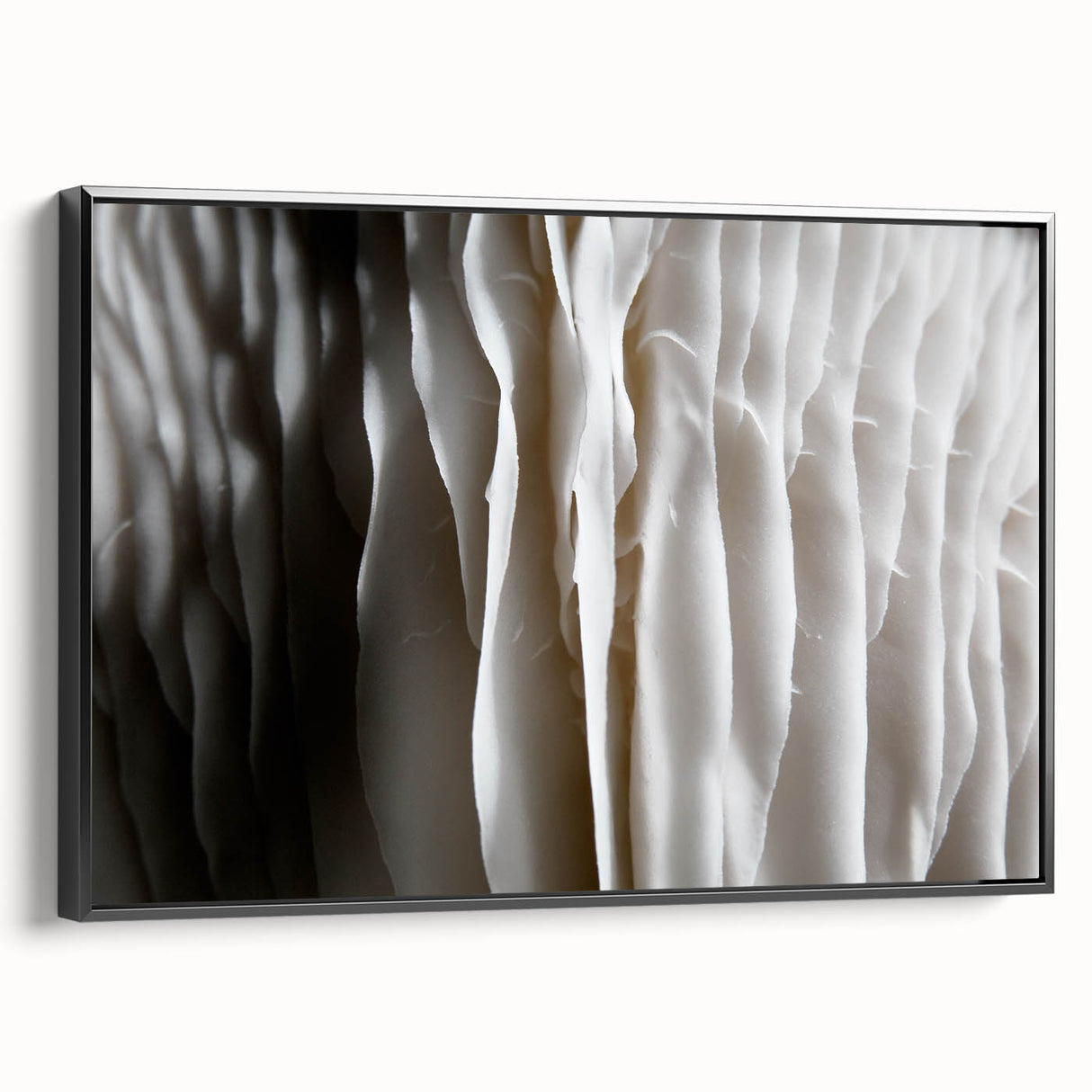 Framed wall art featuring a botanical design of colorful flowers and mushrooms on a black background, showcasing intricate details and a modern aesthetic suitable for home decor.
