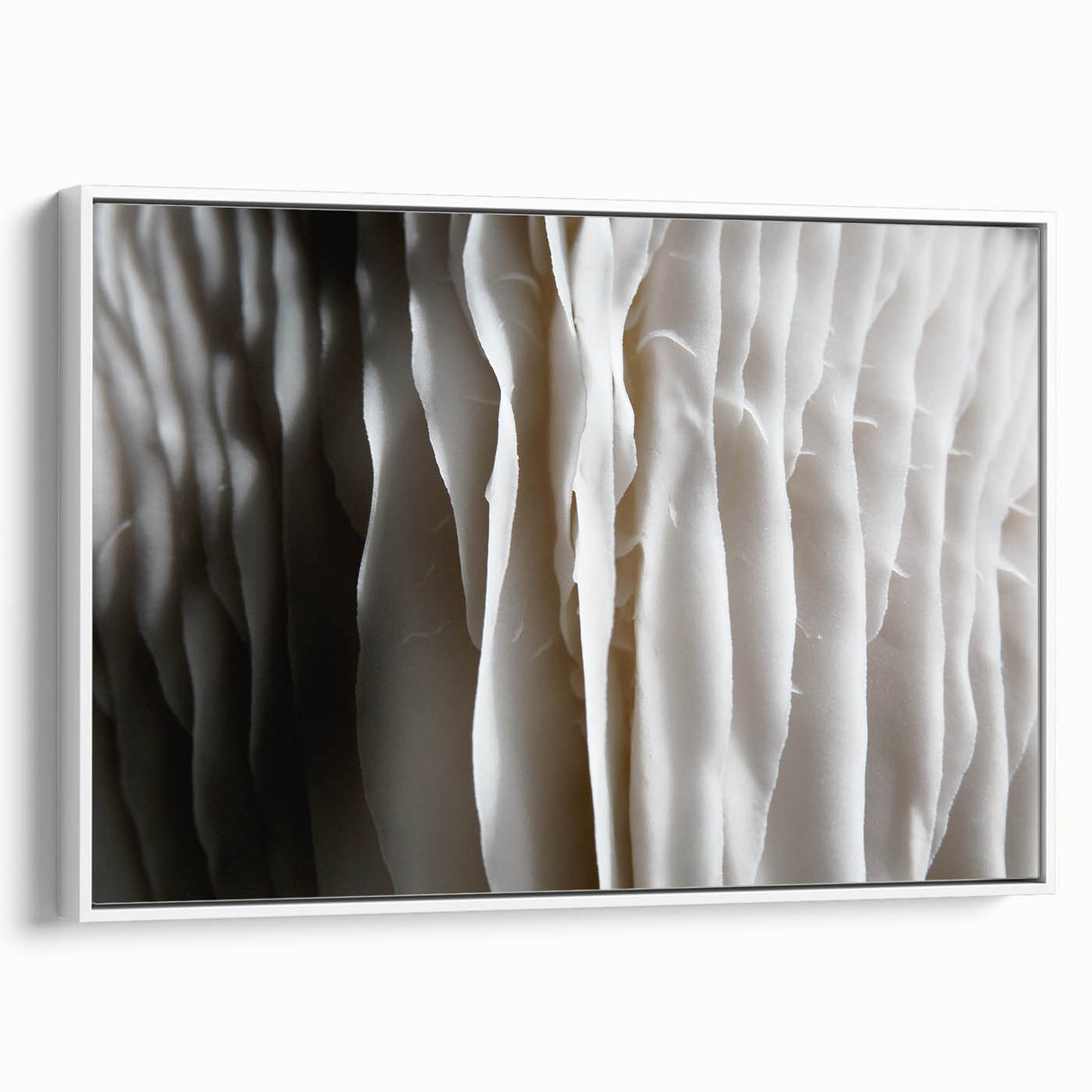 Framed wall art showcasing a botanical design of colorful mushrooms and flowers on a white background, perfect for adding a vibrant touch to any decor.