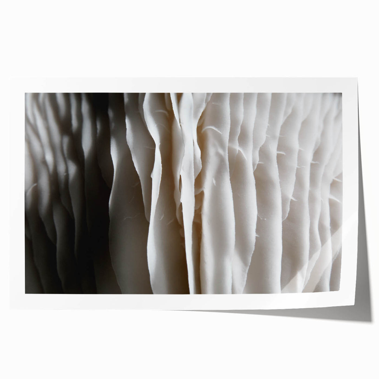 Botanical wall art print showcasing an intricate design of vibrant flowers and mushrooms, rolled for easy framing, perfect for nature-inspired decor.