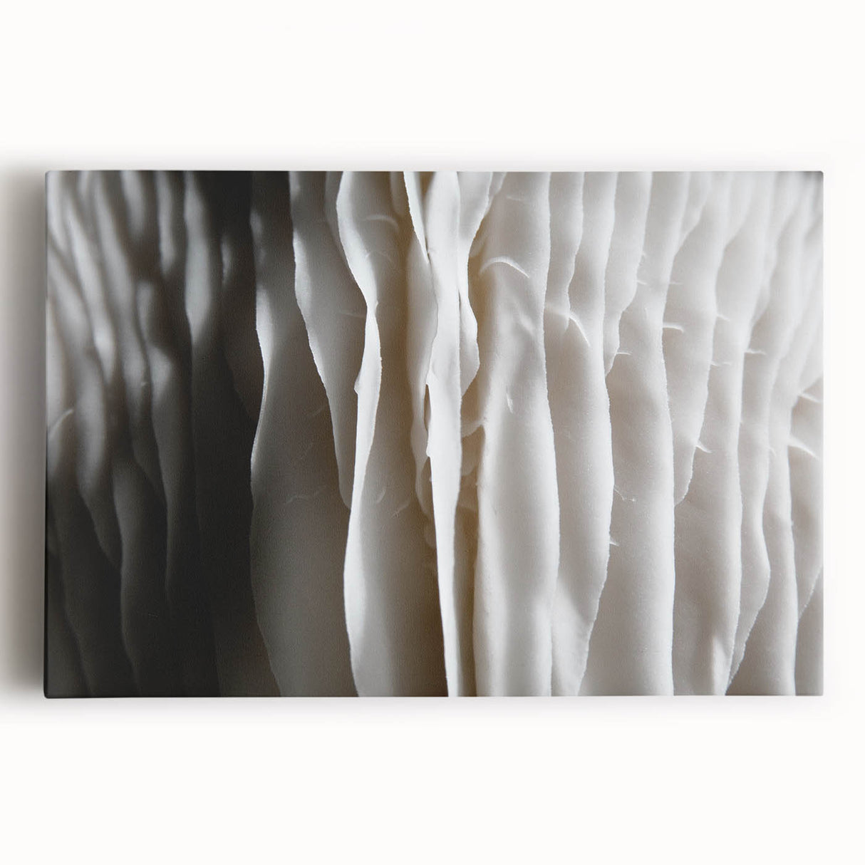 Stretched canvas wall art showcasing a vibrant botanical design with colorful mushrooms and flowers, perfect for adding a natural touch to home decor.