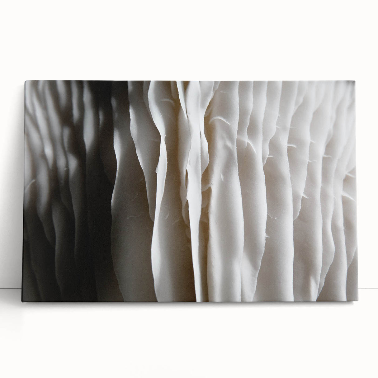 Botanical wall art featuring a vibrant design of assorted flowers and mushrooms on a stretched canvas, leaning against a white wall, ideal for home decor.