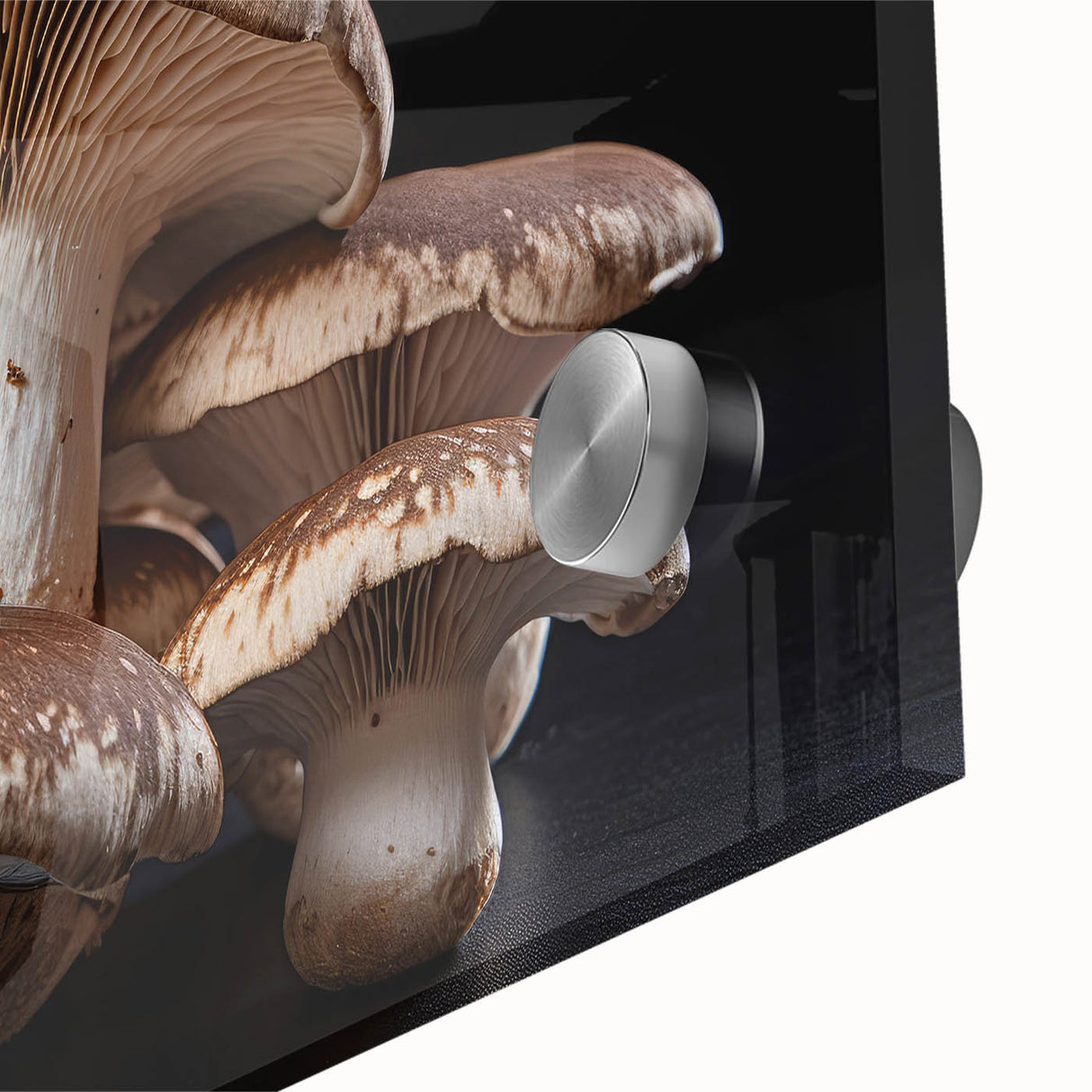 Close-up of a vibrant botanical wall art design featuring colorful mushrooms and flowers on acrylic glass, ideal for home decor and nature lovers. This piece adds a whimsical touch to any interior space.