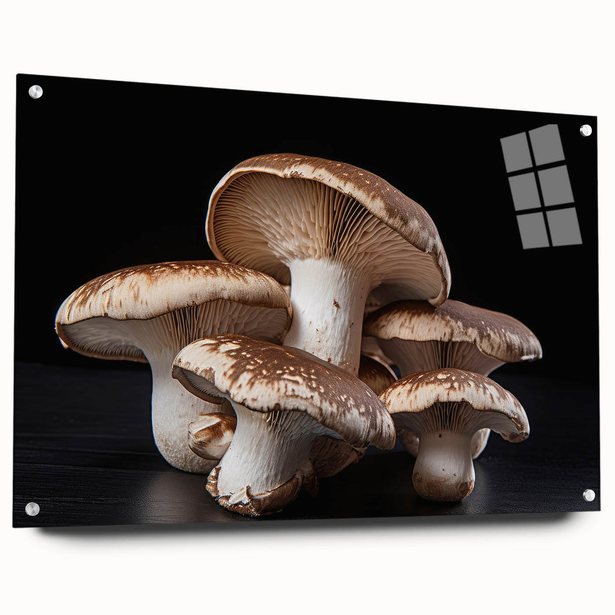 Botanical wall art collection featuring vibrant flowers and mushrooms design printed on acrylic glass, displayed with pins against a neutral background. Ideal for adding a nature-inspired touch to home decor.