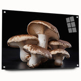 Botanical wall art collection featuring vibrant flowers and mushrooms design printed on acrylic glass, displayed with pins against a neutral background. Ideal for adding a nature-inspired touch to home decor.