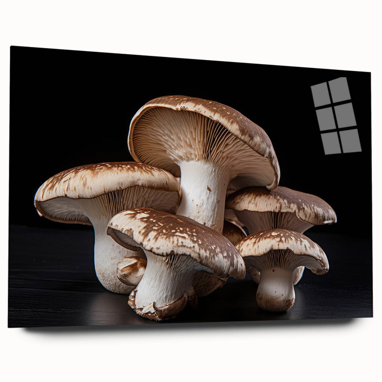Acrylic glass wall art collection showcasing a botanical design with vibrant flowers and mushrooms, side view highlighting clear details, perfect for nature-themed decor.