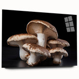 Acrylic glass wall art collection showcasing a botanical design with vibrant flowers and mushrooms, side view highlighting clear details, perfect for nature-themed decor.