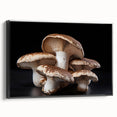 Framed canvas wall art showcasing a botanical design featuring colorful flowers and mushrooms against a black background, providing a modern touch to home decor.