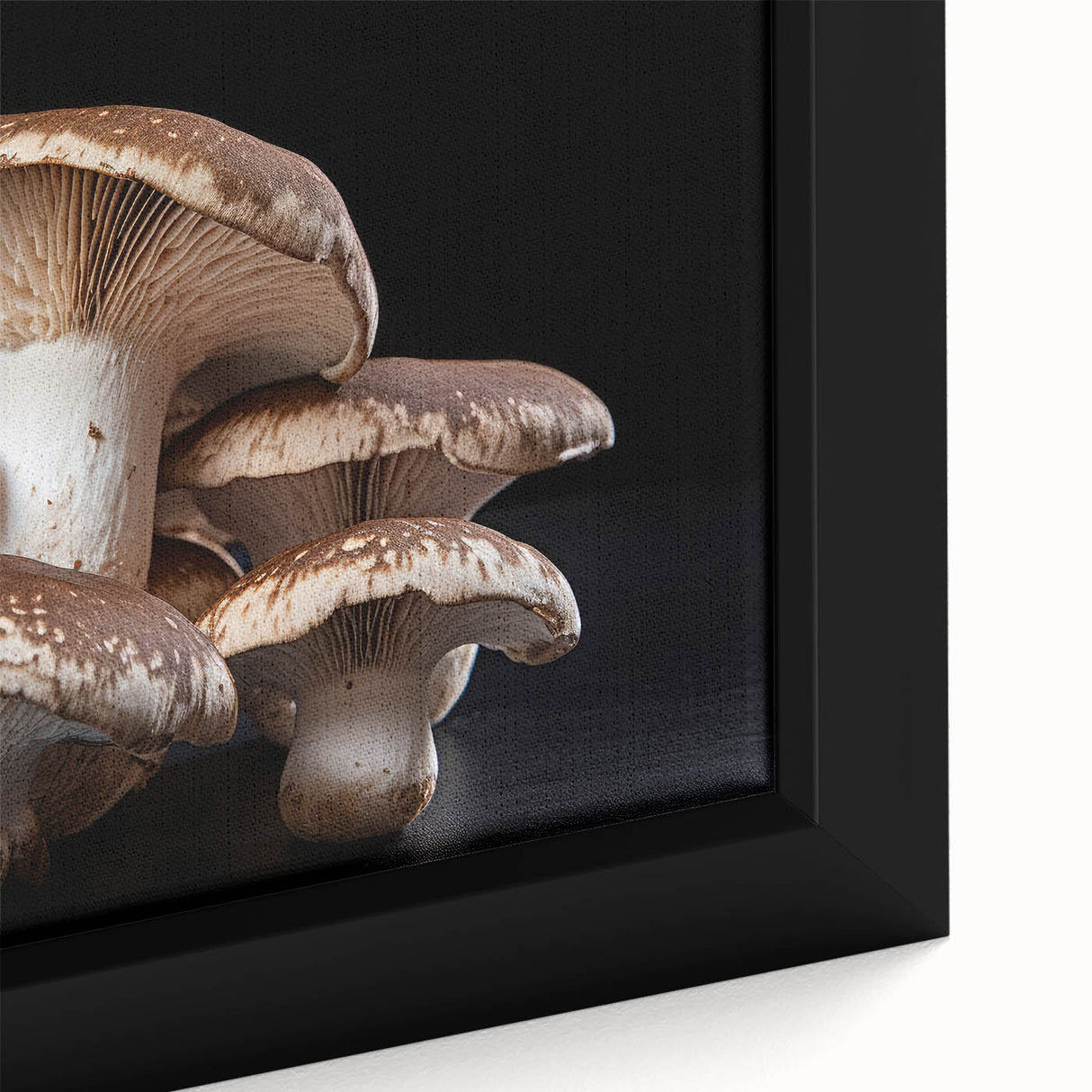 Framed canvas wall art showcasing a vibrant botanical design featuring colorful flowers and mushrooms, perfect for home decor. Close-up highlights intricate details and textures.