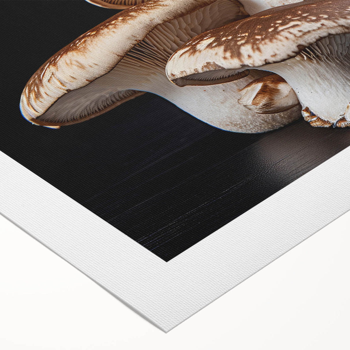 Botanical wall art print showcasing vibrant flowers and mushrooms on a rolled canvas, perfect for home decor, featuring intricate details and rich colors.