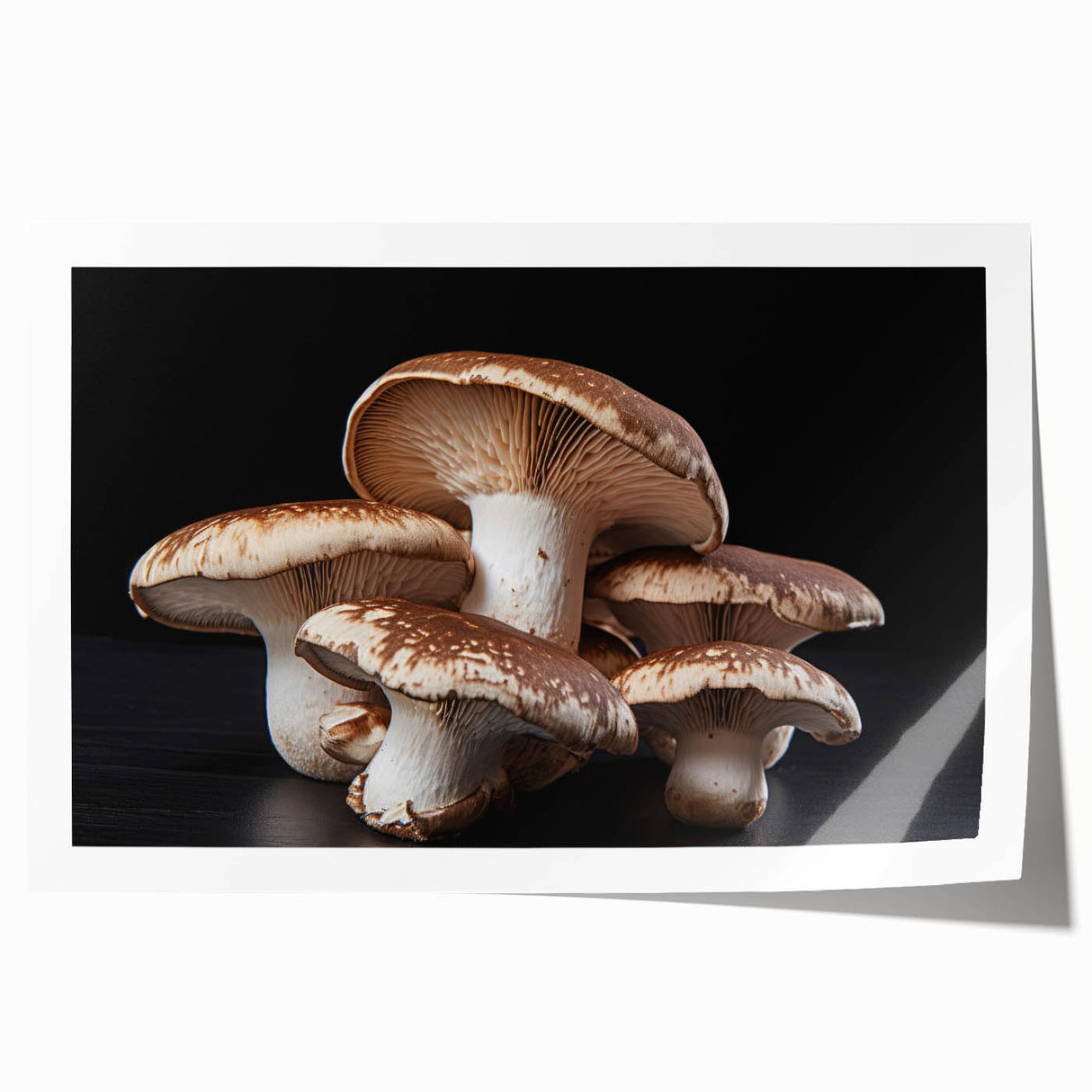 Botanical wall art print showcasing a vibrant collection of flowers and mushrooms, beautifully designed with rich colors and intricate details, perfect for nature lovers.