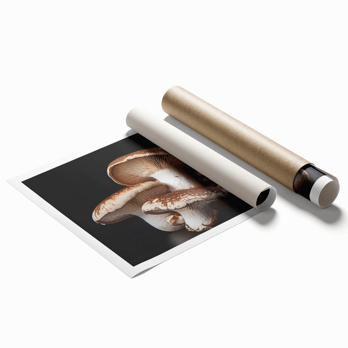 Botanical wall art print showcasing an intricate design of colorful flowers and mushrooms, rolled and ready for display, ideal for nature enthusiasts and home decor.