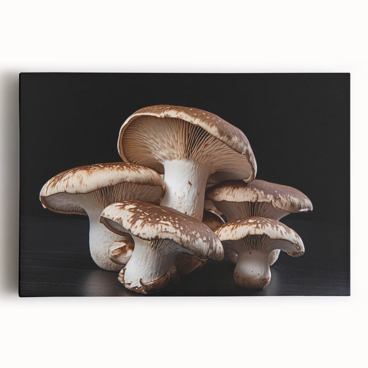 Vibrant botanical wall art featuring colorful flowers and mushrooms, printed on stretched canvas with a modern design, ideal for home decor and nature enthusiasts.