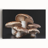 Vibrant botanical wall art featuring colorful flowers and mushrooms, printed on stretched canvas with a modern design, ideal for home decor and nature enthusiasts.