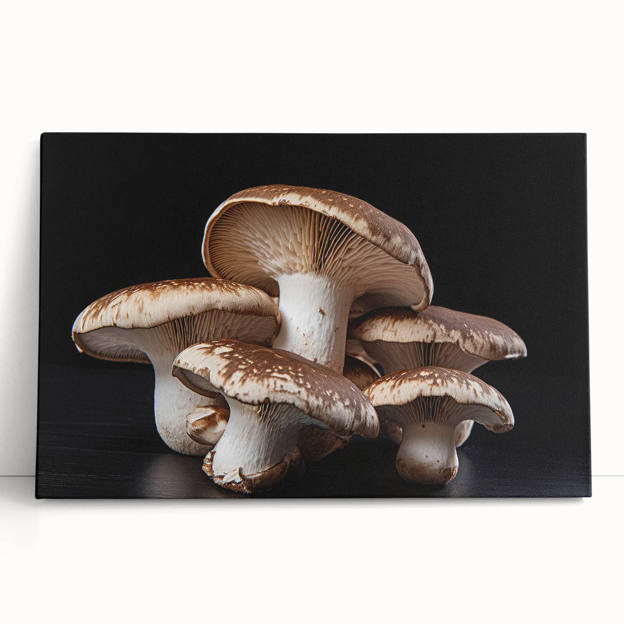 Botanical wall art collection showcasing vibrant flowers and mushrooms on a stretched canvas, elegantly leaning against a neutral background, perfect for home decor.
