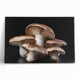 Botanical wall art collection showcasing vibrant flowers and mushrooms on a stretched canvas, elegantly leaning against a neutral background, perfect for home decor.