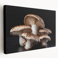Stretched canvas wall art showcasing a vibrant botanical design featuring colorful flowers and mushrooms, perfect for enhancing home decor with a natural theme.