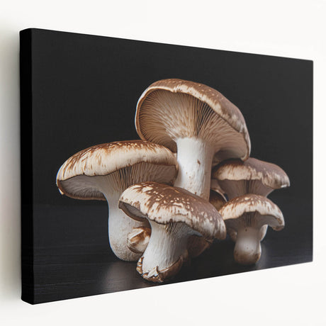 Stretched canvas wall art showcasing a vibrant botanical design featuring colorful flowers and mushrooms, perfect for enhancing home decor with a natural theme.