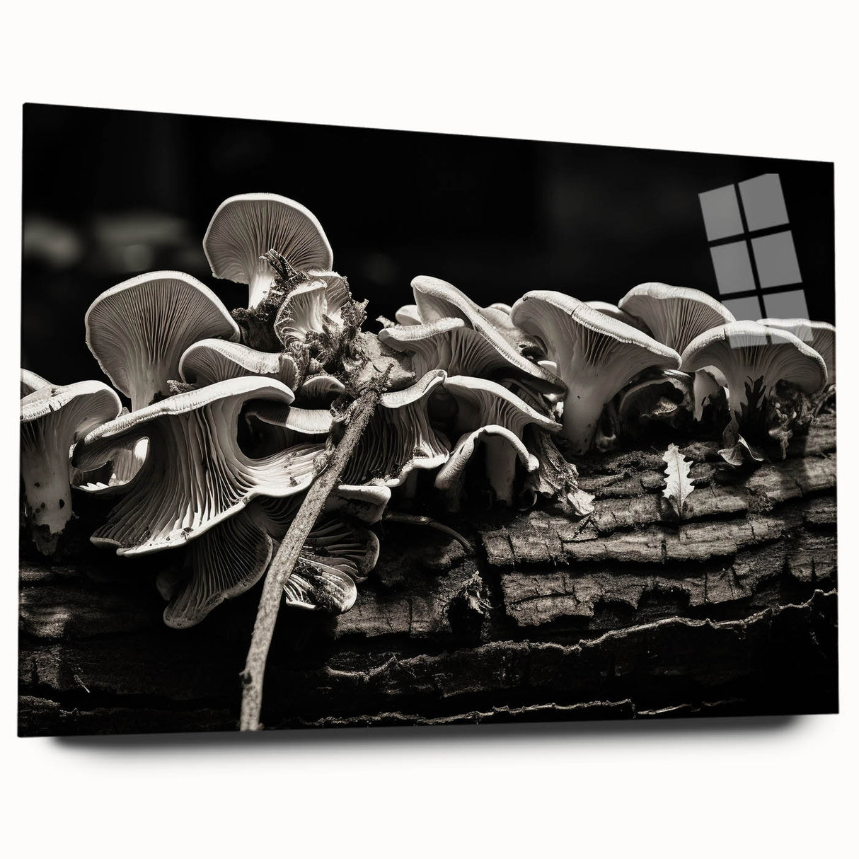 Acrylic glass wall art displaying a vibrant botanical design featuring colorful mushrooms and flowers, viewed from the side, perfect for nature-themed decor.