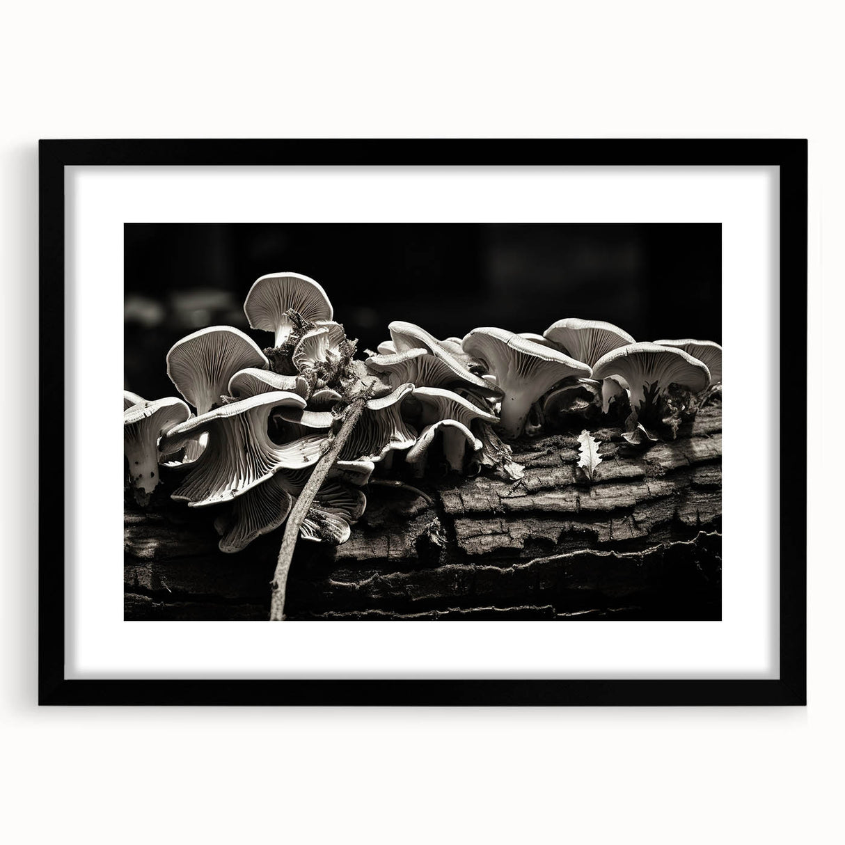 Botanical wall art featuring an elegant design of colorful flowers and mushrooms, framed in a sleek black frame with a mat, perfect for home decor.