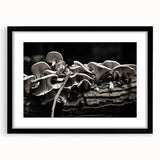 Botanical wall art featuring an elegant design of colorful flowers and mushrooms, framed in a sleek black frame with a mat, perfect for home decor.