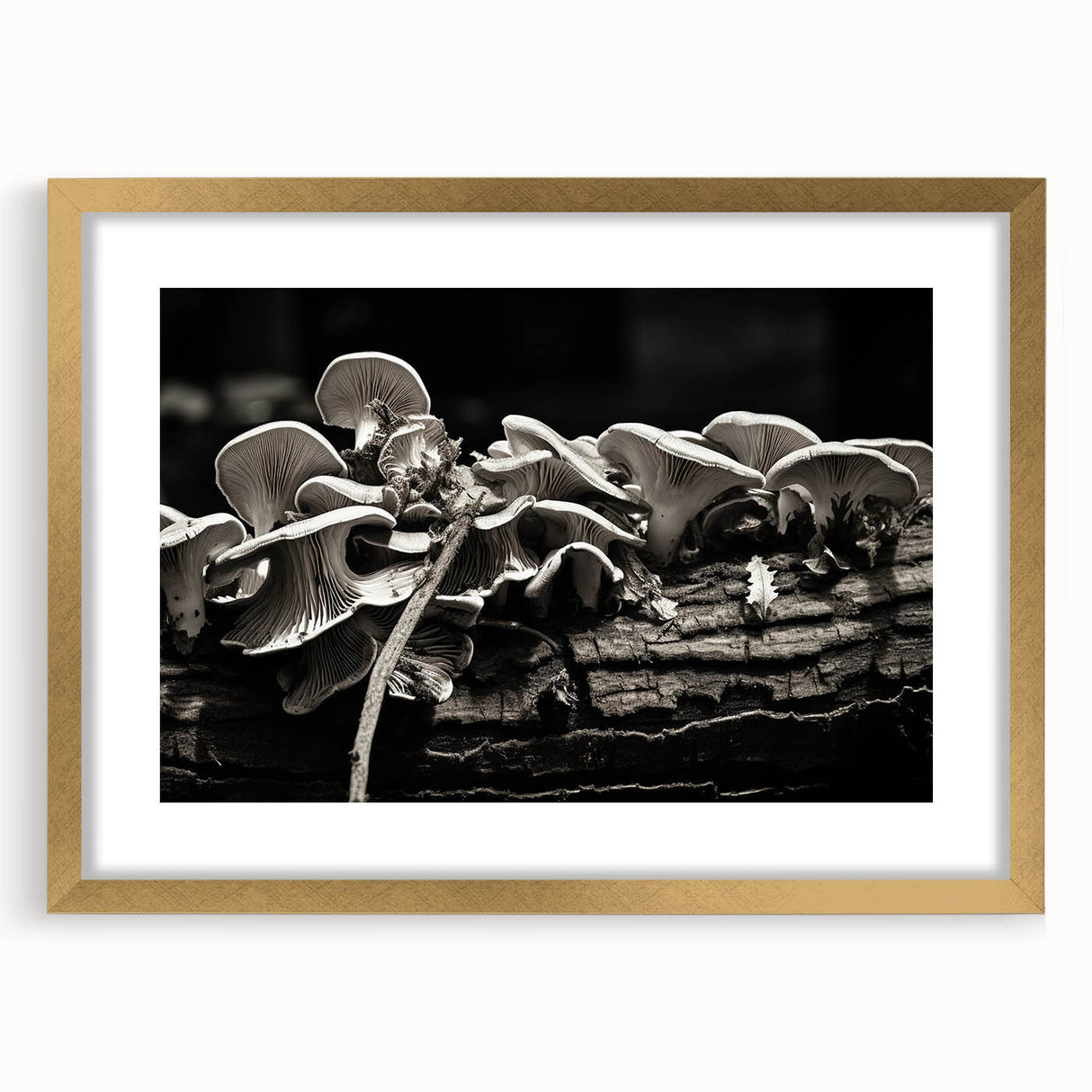 Botanical wall art showcasing a vibrant floral and mushroom design, elegantly framed in gold with a mat for a sophisticated look, perfect for home decor.