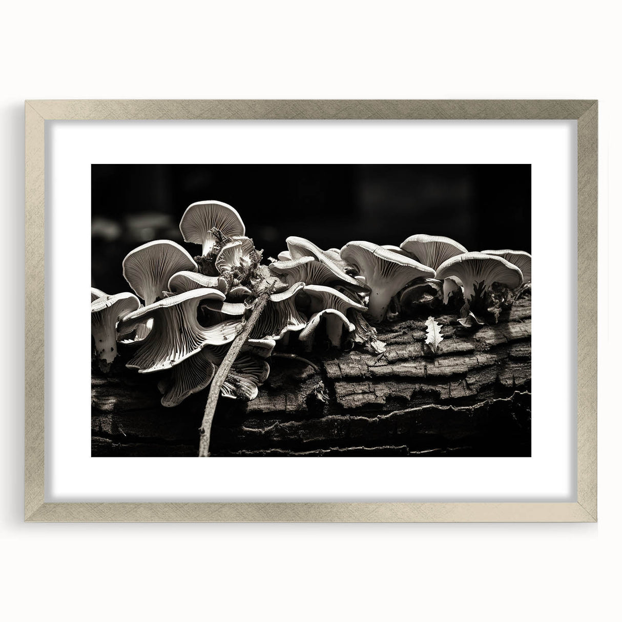 Botanical wall art featuring colorful flowers and mushrooms in a sleek silver frame, designed for elegant home decor. Ideal for nature-themed interiors.