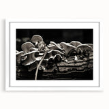 Framed botanical wall art showcasing an elegant design of colorful mushrooms and flowers, set against a white mat, ideal for home decor. Perfect for nature lovers.
