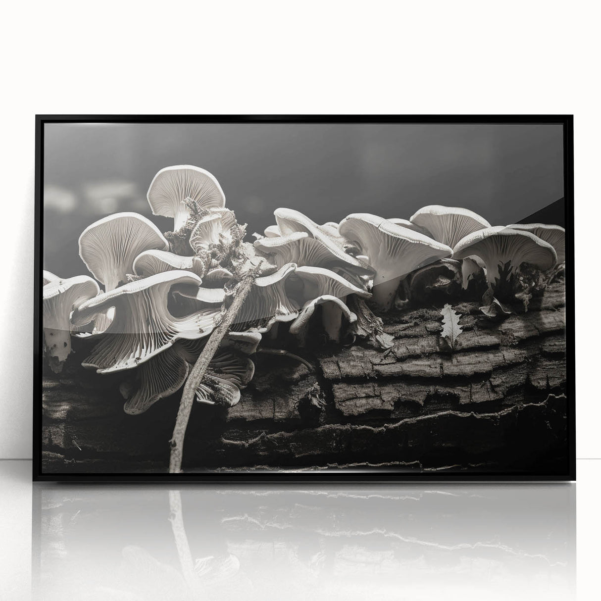 Framed wall art featuring a botanical design of colorful flowers and mushrooms on a black background, showcasing intricate details and a modern aesthetic.