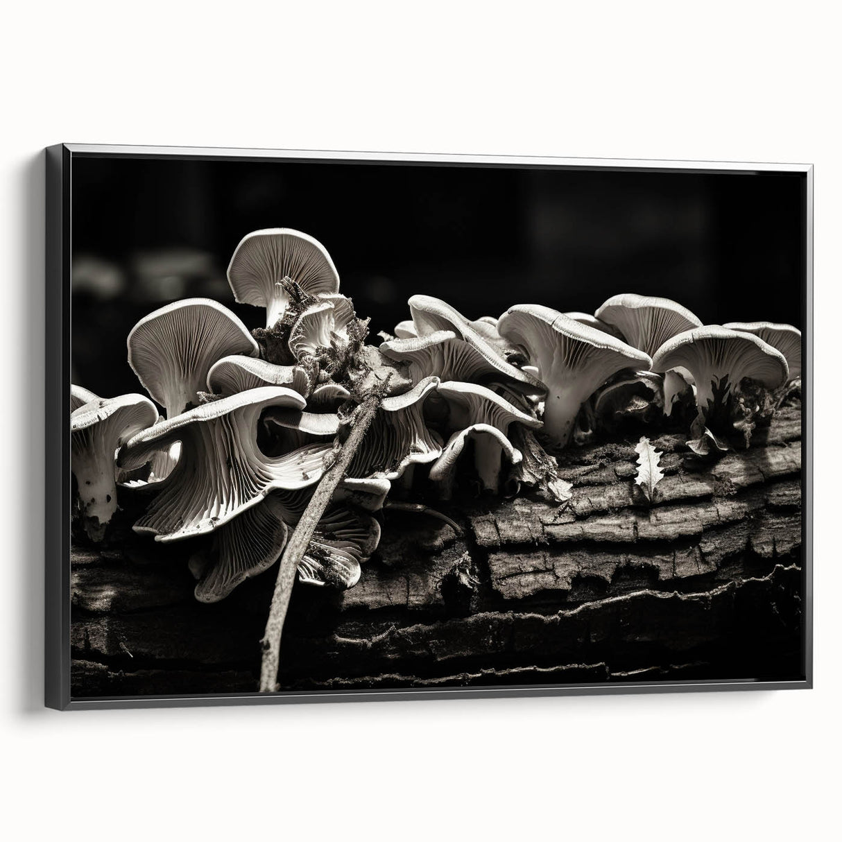 Framed wall art featuring a botanical design of vibrant mushrooms against a black backdrop, showcasing intricate details and colors, perfect for modern decor.