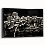 Framed wall art featuring a botanical design of vibrant mushrooms against a black backdrop, showcasing intricate details and colors, perfect for modern decor.