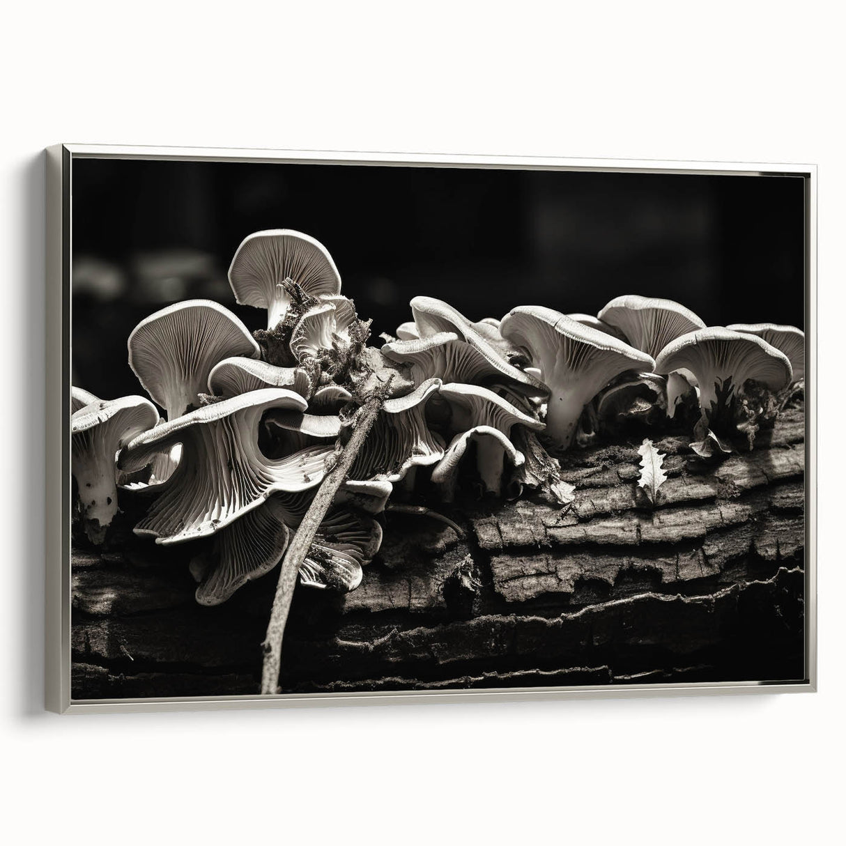 Framed wall art featuring a botanical design of colorful mushrooms and flowers on a silver background, showcasing intricate details and vibrant colors, ideal for home decor.