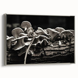 Framed wall art featuring a botanical design of colorful mushrooms and flowers on a silver background, showcasing intricate details and vibrant colors, ideal for home decor.