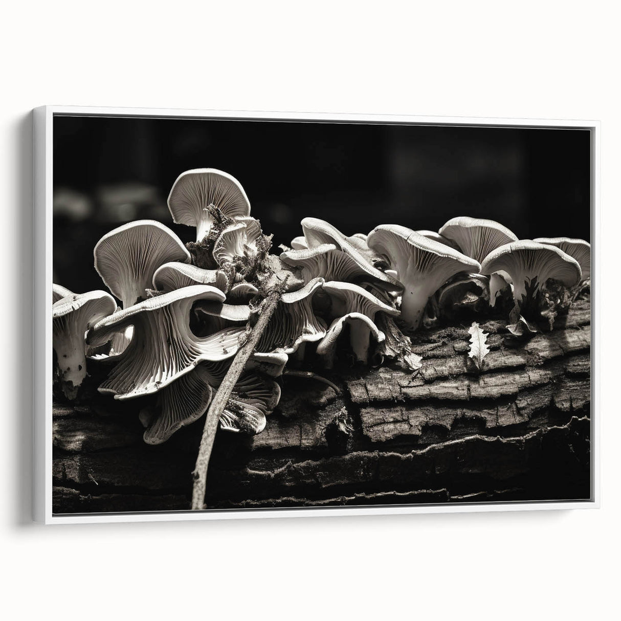Framed wall art featuring a botanical design of colorful flowers and mushrooms on a white background, showcasing intricate details and textures. Perfect for enhancing home decor.