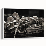 Framed wall art featuring a botanical design of colorful flowers and mushrooms on a white background, showcasing intricate details and textures. Perfect for enhancing home decor.