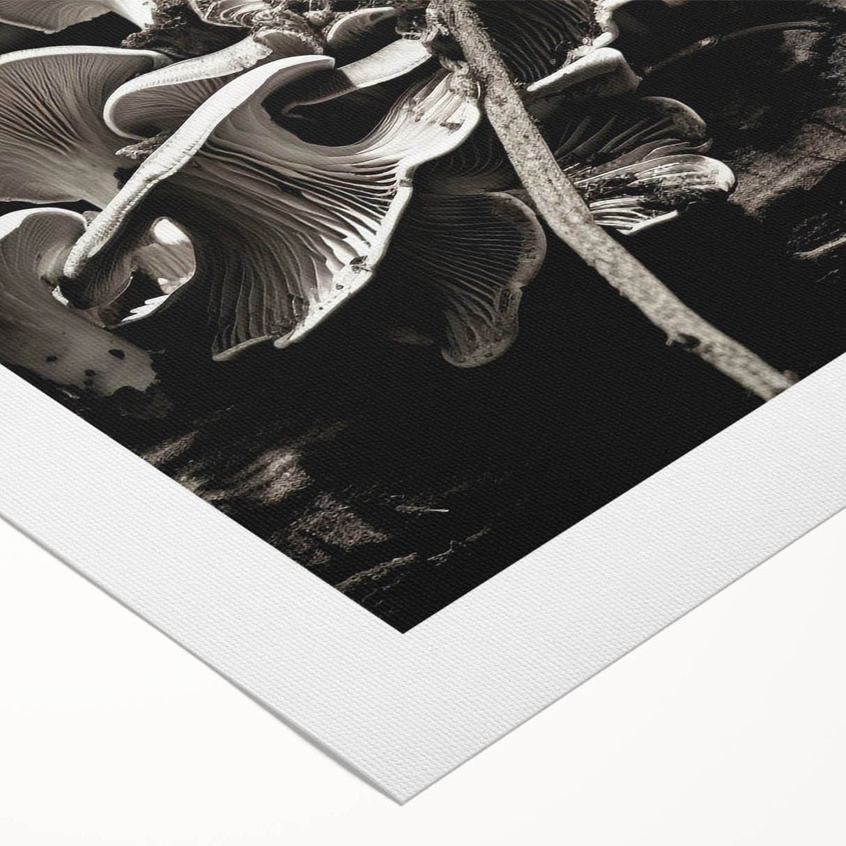 Botanical wall art featuring vibrant flowers and mushrooms design on rolled canvas, showcasing intricate details and colors, perfect for nature-inspired decor.