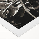 Botanical wall art featuring vibrant flowers and mushrooms design on rolled canvas, showcasing intricate details and colors, perfect for nature-inspired decor.