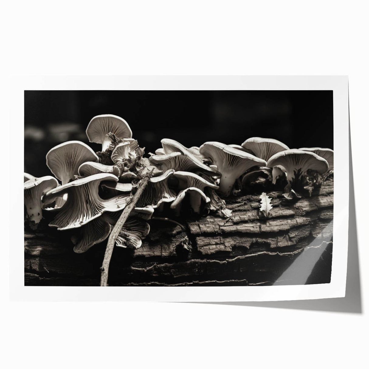 Vibrant botanical wall art print showcasing an intricate design of colorful flowers and mushrooms, rolled and ready for framing, perfect for home decor.